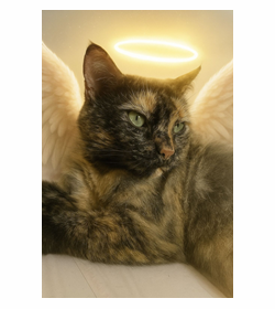 Clara maria guzm%c3%a1n samayoa