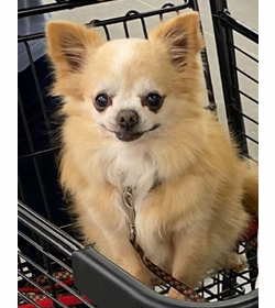 Panchito escalante mart%c3%adnez
