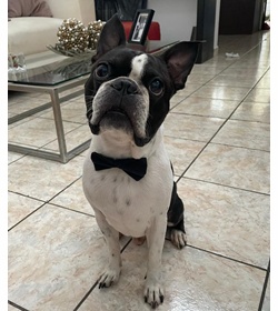 Bruno hern%c3%a1ndez