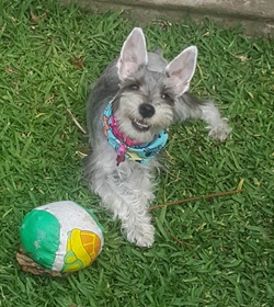 Luna espinoza