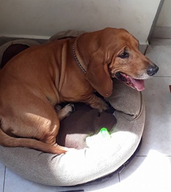 Ody salcedo benavides