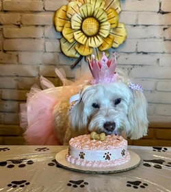 Mini alejandra valenzuela