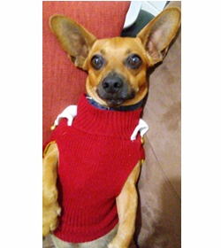 Brownie vasquez castillo