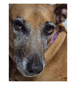 Conchi cativo rodriguez