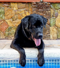 Luckas mej%c3%ada ruano