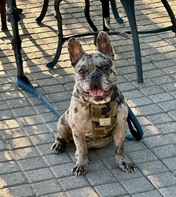 Goma mendoza okumura