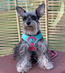 M%c3%ada mor%c3%a1n melgar