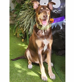 Bruno rodr%c3%adguez