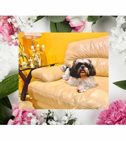 Paquita gadala mar%c3%ada arrazattee