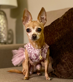 Valeria mar%c3%ada maga%c3%b1a escobar