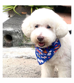 Osin bomb%c3%b3n ayala