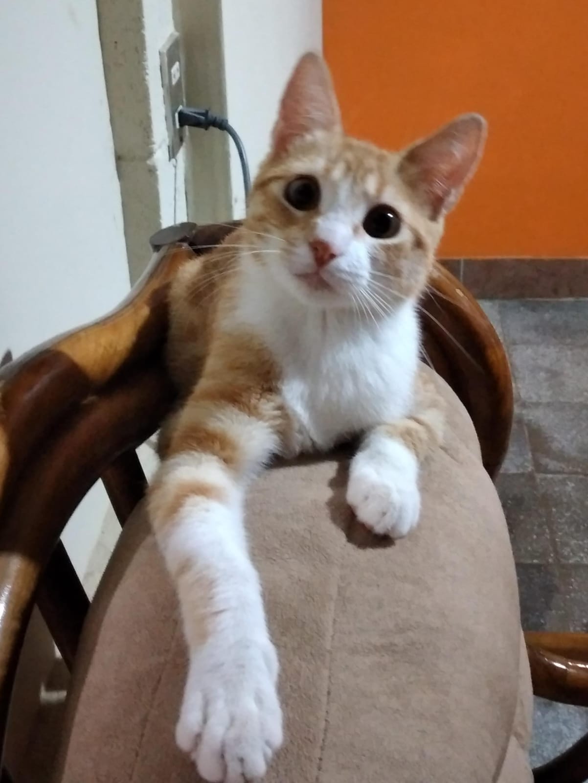 Whatsapp image 2025 12 15 at 2.58.07 pm