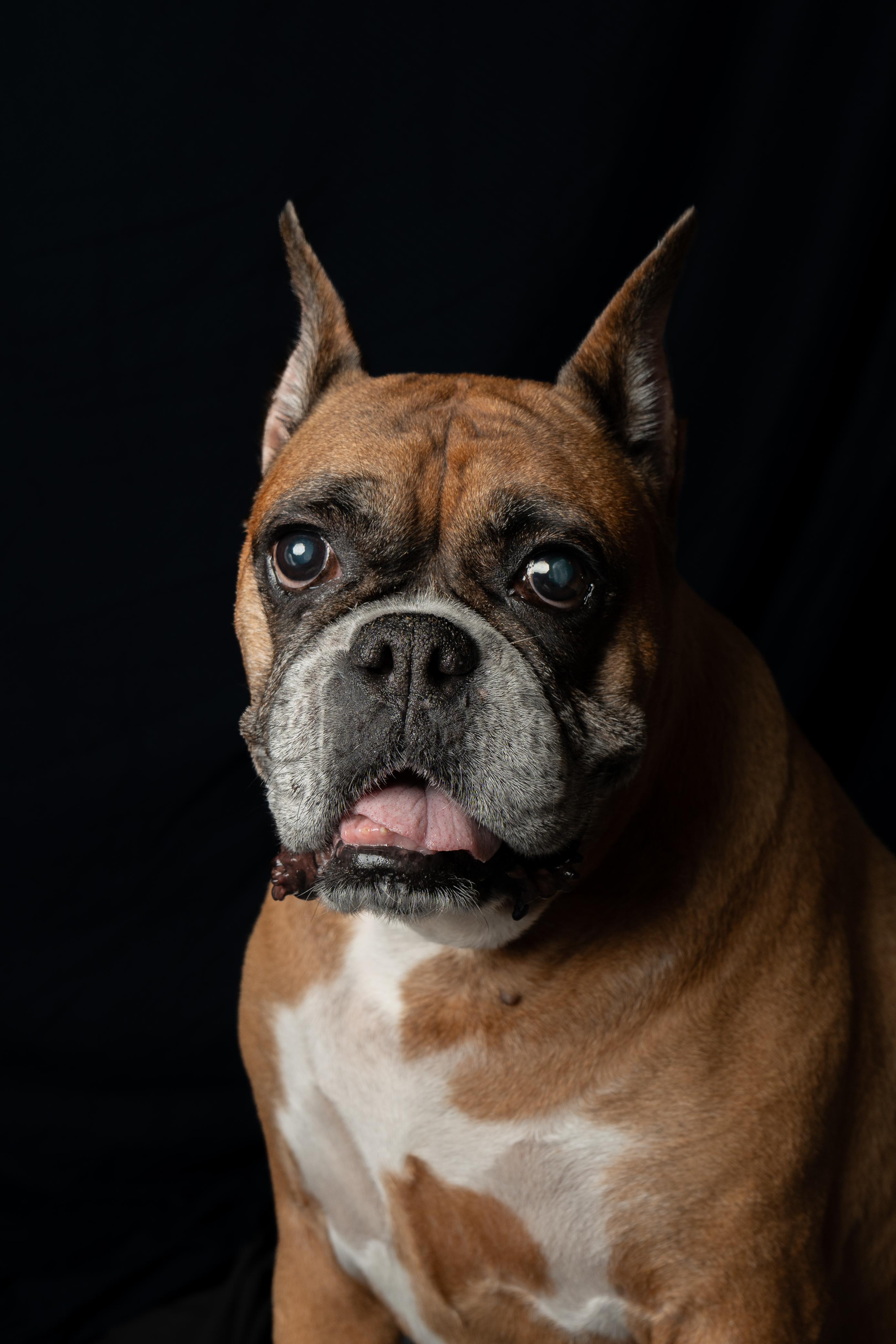 Whatsapp image 2025 12 22 at 7.37.56 pm