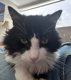 Sebasti%c3%a1n deleon