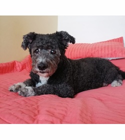 Lucky v%c3%a9lez  argueta