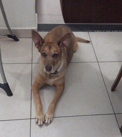 Millie hern%c3%a1ndez