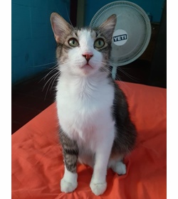 Crimson hern%c3%a1ndez