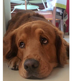 Coco villatoro c%c3%a1rcamo