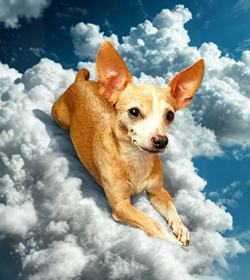 Killer s%c3%a1nchez gonzalez