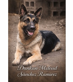 Dunkan mcloud s%c3%a1nchez ram%c3%adrez