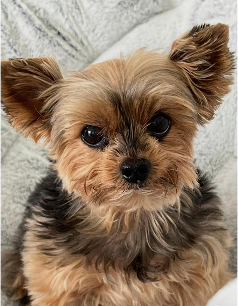 Whatsapp image 2026 02 16 at 4.13.07 pm