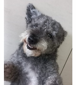 Kylo black orellana chac%c3%b3n