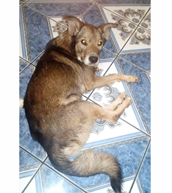 Tequila de jes%c3%bas cruz