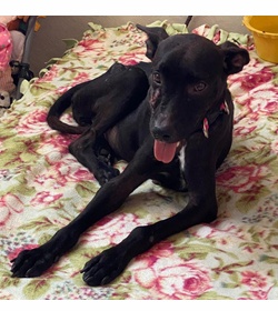 Pamelita hern%c3%a1ndez escobar