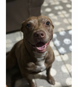 Samantha men%c3%a9ndez