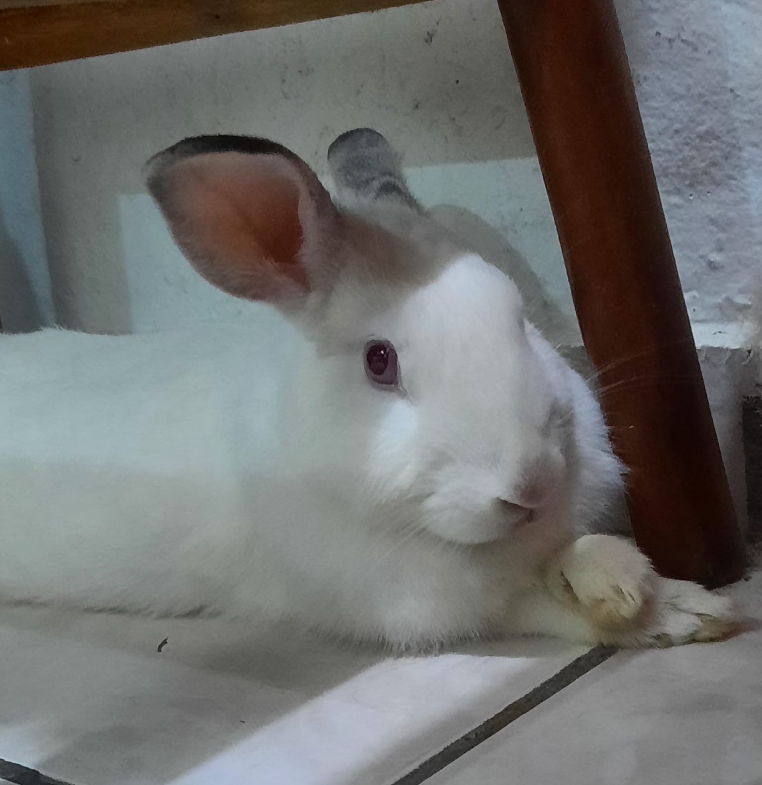 Whatsapp image 2026 03 20 at 11.19.39 am