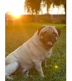 Nicol%c3%a1s garc%c3%ada rivas