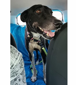 Terry escobar hern%c3%a1ndez