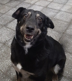 Carolina dom%c3%adnguez