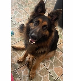 Benji valle orozco