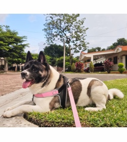 Sasha fuente mart%c3%adnez