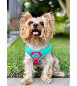 Malala romero cortez