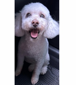 Kitty orellana hern%c3%a1ndez