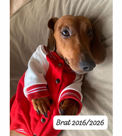 Bratximiliano maga%c3%b1a